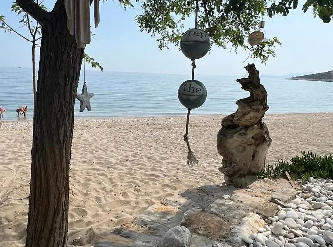Step To The Sea 네아 카르발리